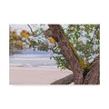 Trademark Fine Art Njr Photos 'Mossy Beach' Canvas Art, 12x19 ALI43869-C1219GG